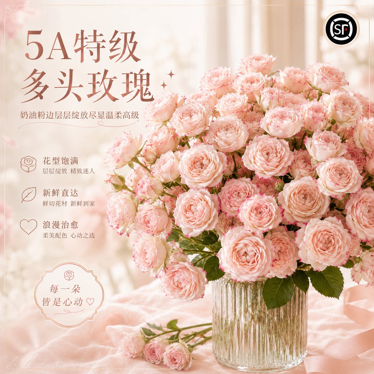 折射泡泡多头玫瑰鲜花云南直发图片