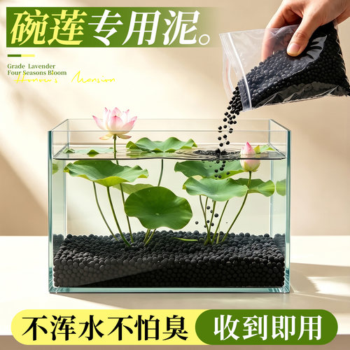 5A特级碗莲泥入水即清不臭水浑水