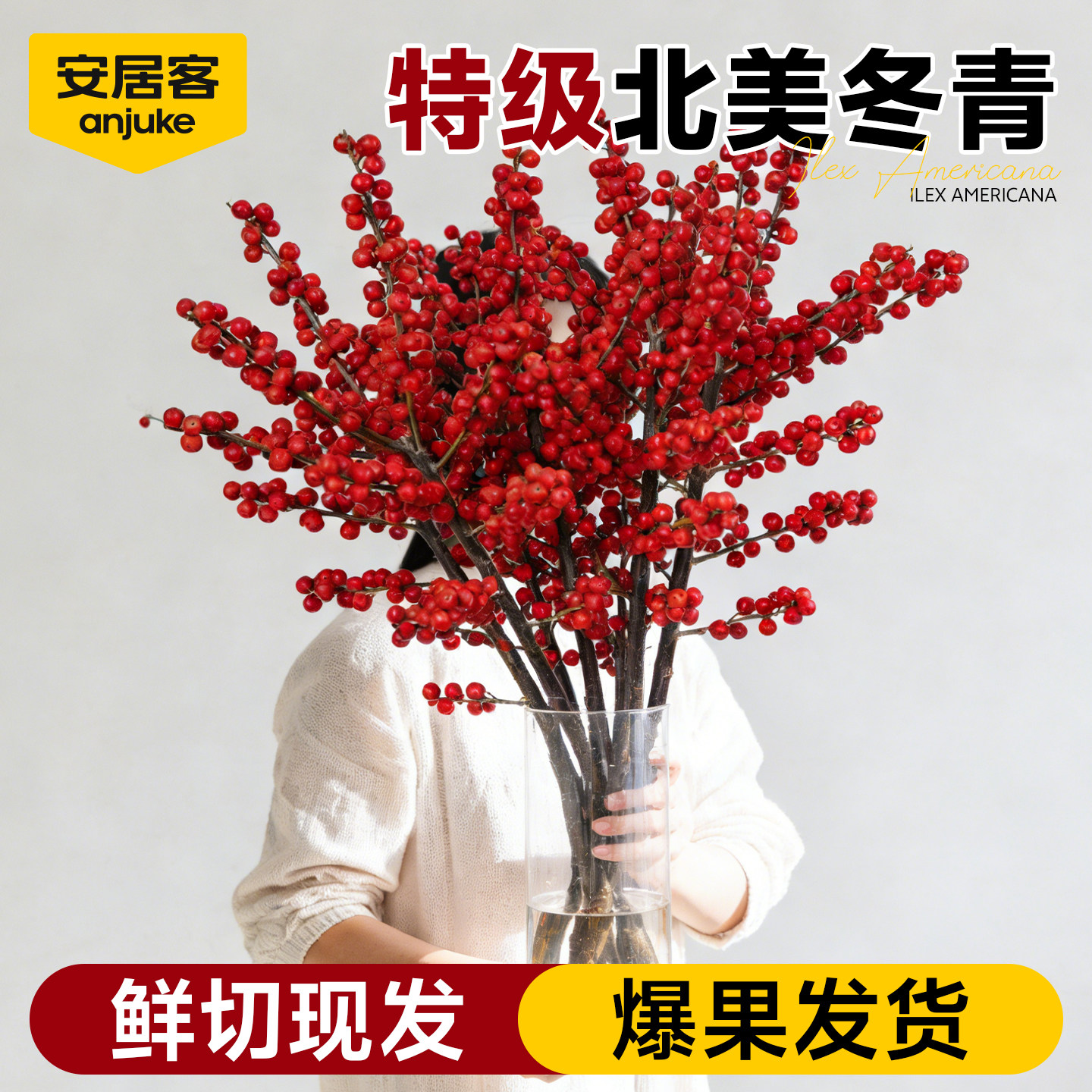 安居客北美冬青红果真花客厅水培绿植物年宵花卉好养新年鲜切花束,鲜花速递/花卉仿真/绿植园艺,绿植,淘宝优惠券,粉丝福利购,淘宝优惠卷