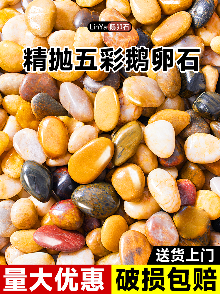 五彩鹅卵石天然铺地彩色石头雨花石鱼缸造景白大号原石子庭院