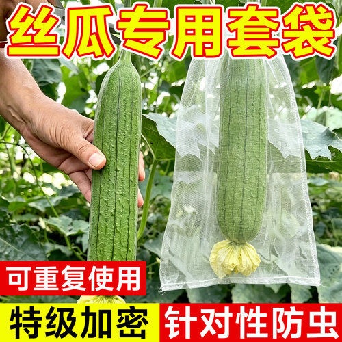 丝瓜套袋果袋防虫防鸟网透气透光