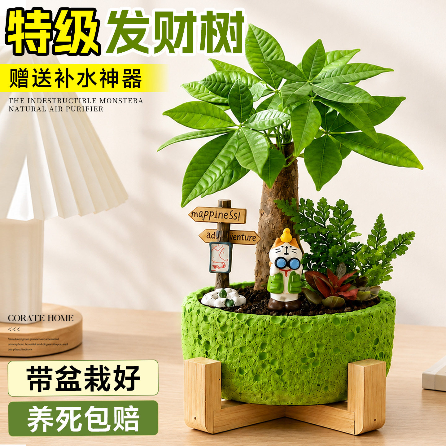 创意绿植盆景桌面装饰摆件图片