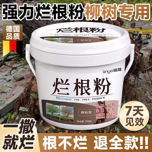 强力烂根粉除大树专用药枯树柳树专用枯树王腐树根杂草树木灭根粉