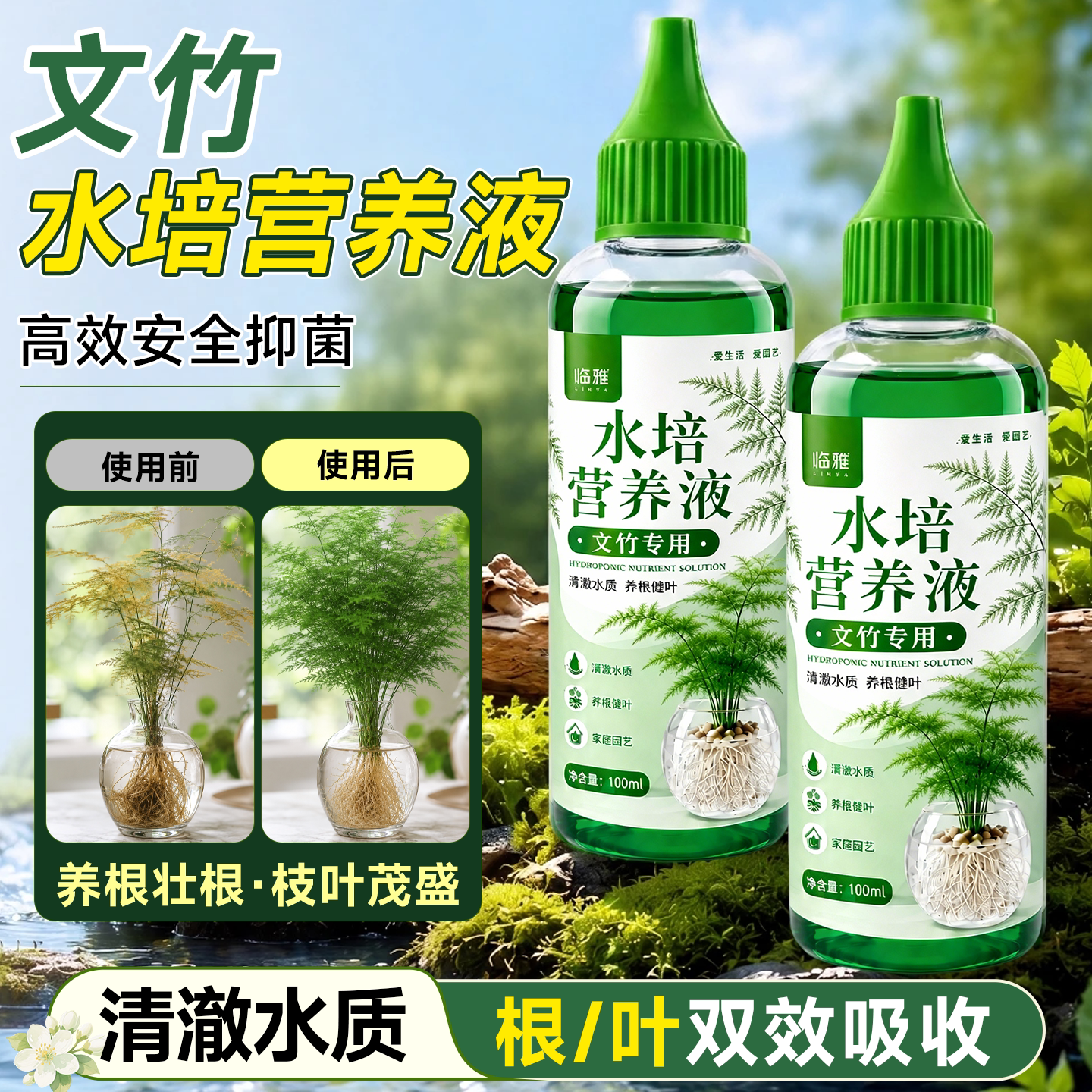 富贵竹专用营养液德国专研配方图片