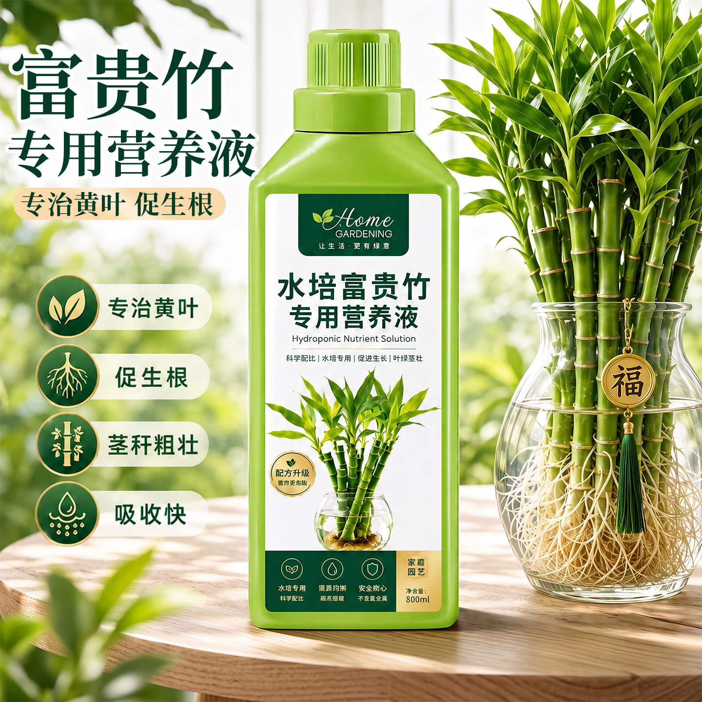 富贵竹专用营养液治叶子发黄转运竹节节高文昌竹水竹水培植物生根