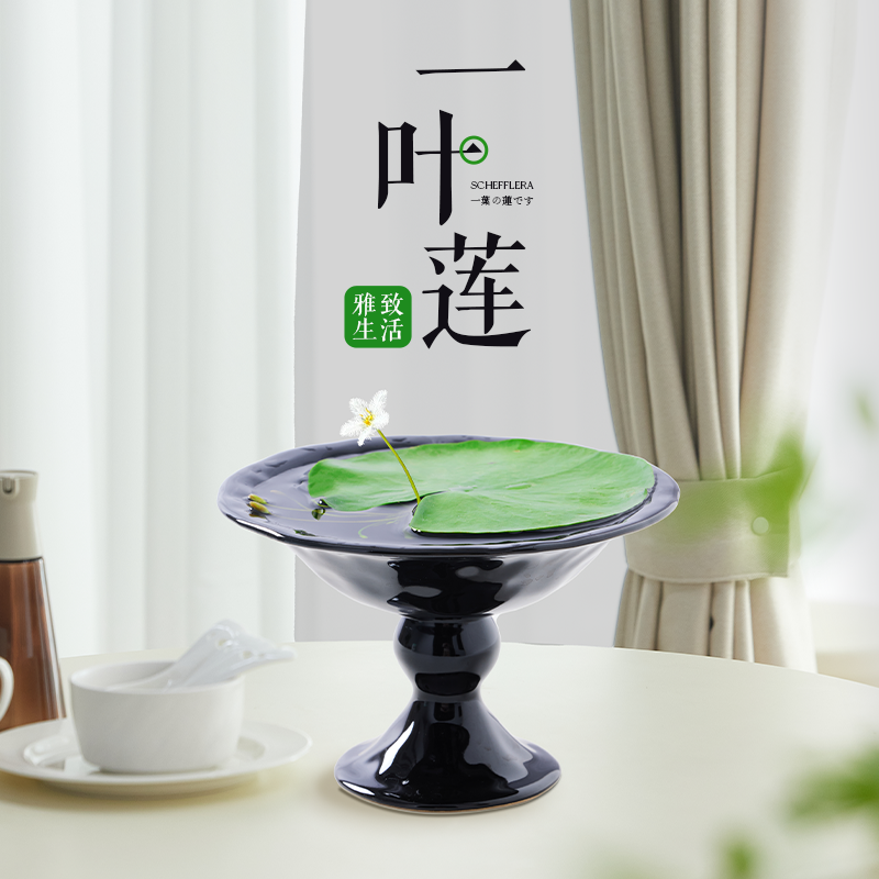 一叶莲水培植物带花苞睡莲挺水碗莲迷你水草室内阳台鱼缸造景好养