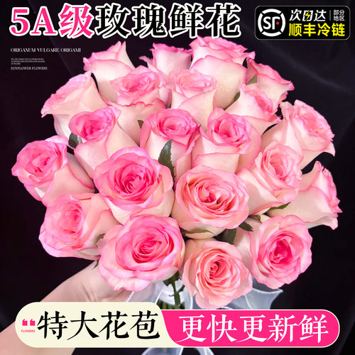 特A级玫瑰花鲜花现采云南发