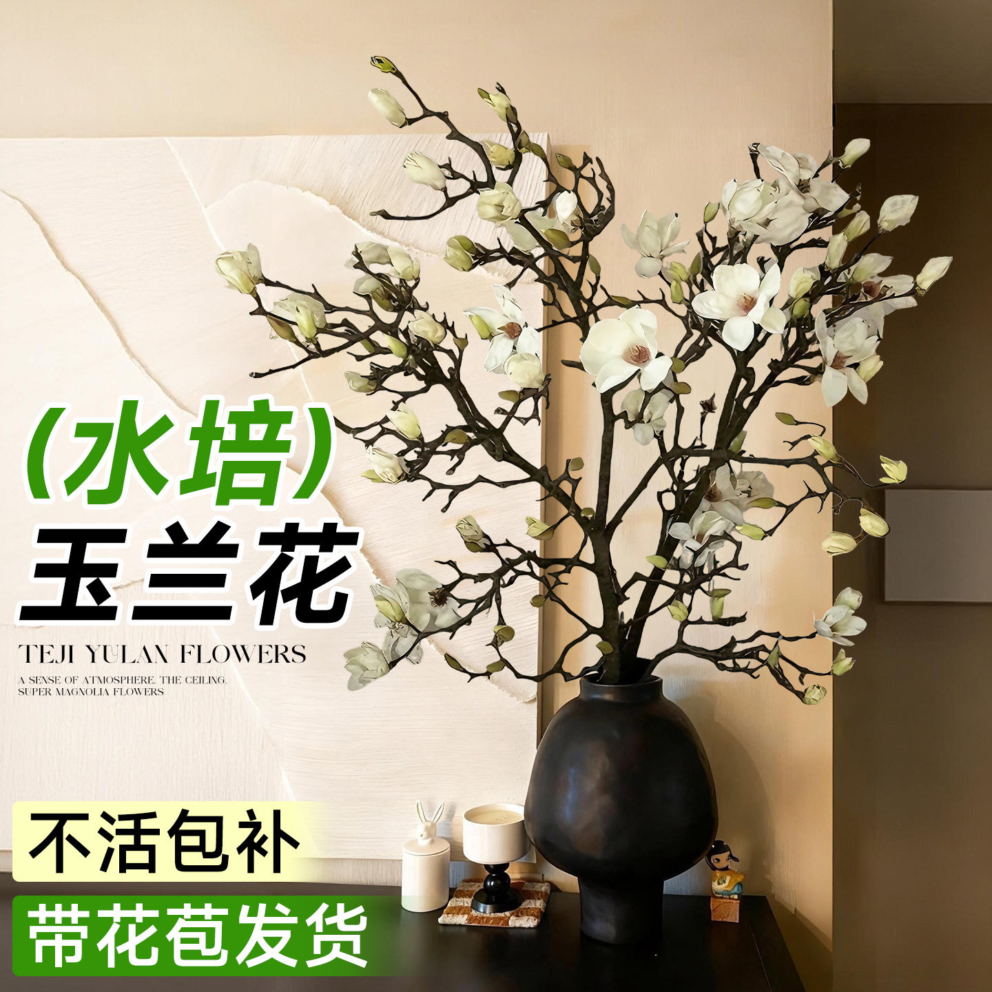 水培植物玉兰花鲜花云南基地直发室内好水养鲜切枝花束插花瓶花卉