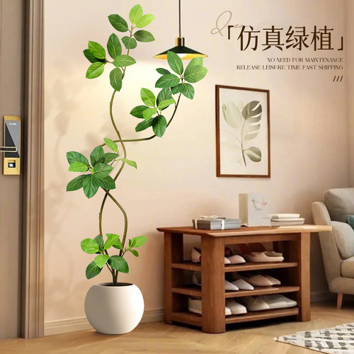 海虹景品孟加拉榕仿真绿植轻奢