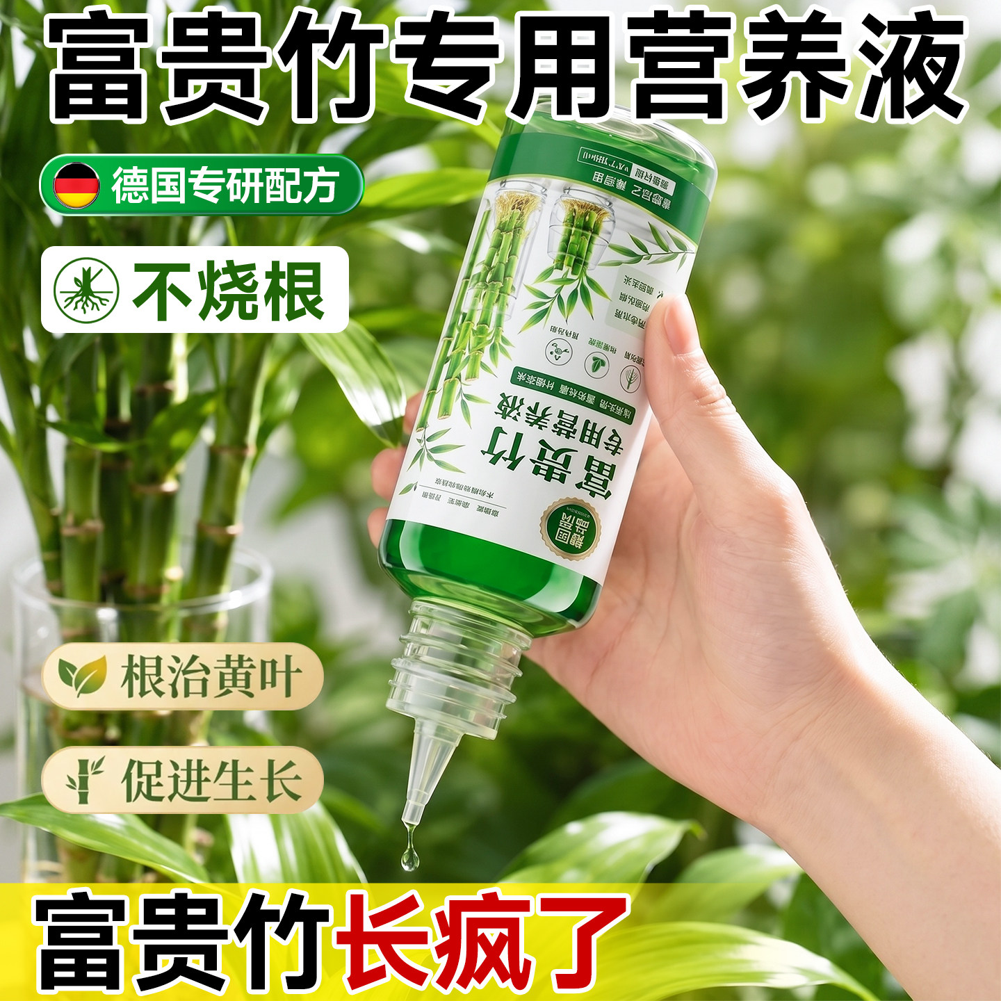 富贵竹专用营养液德国专研配方图片