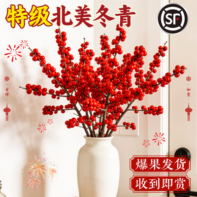 【枝枝爆果】特级北美冬青鲜花