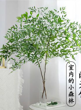 南天竹水培绿植火焰红水养盆栽室内花卉鲜切枝吊钟马醉木平替植物