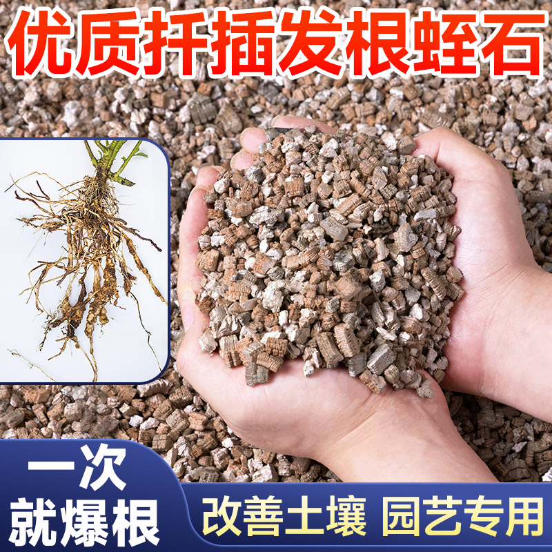 蛭石扦插养花孵化大颗粒养花孵化