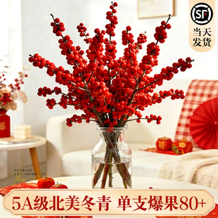 北美冬青红果真花鲜切花水培植物年宵花卉绿植银柳水养室内好养活