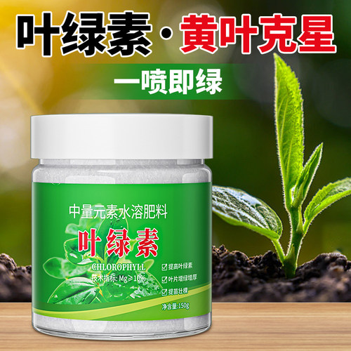 叶绿素叶面肥一喷即绿去除黄叶