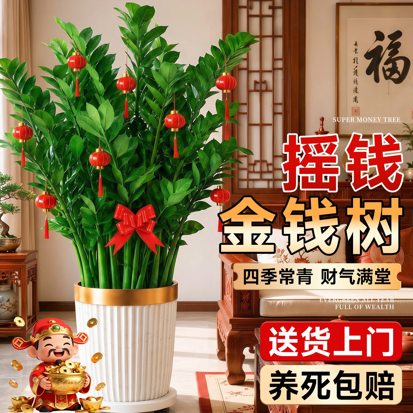 金钱树盆栽钱串子发财树客厅旺宅真绿植办公室内开业乔迁大型摆件