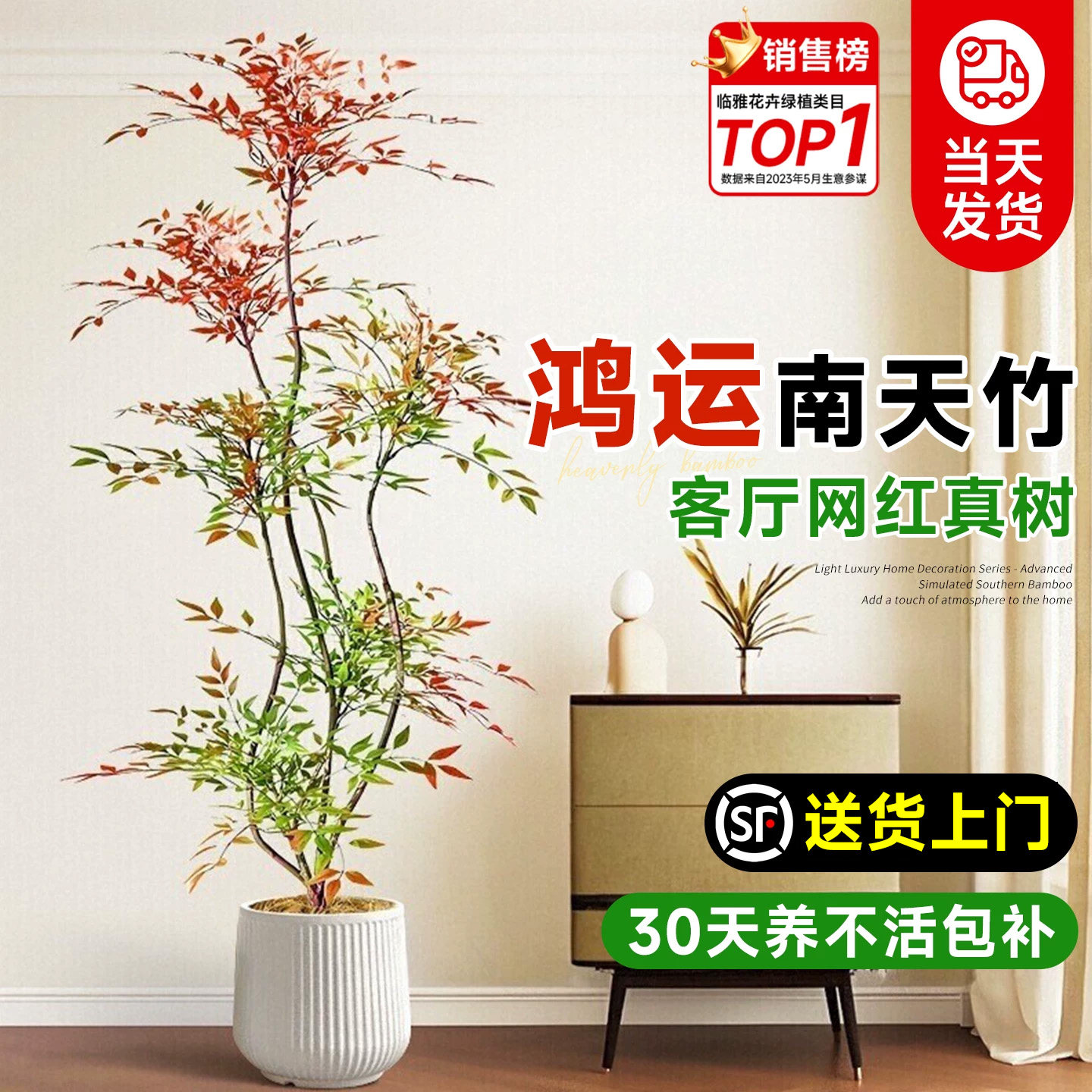 南天竹盆栽客厅大型植物绿植高级感真树办公室内高端落地大号盆景