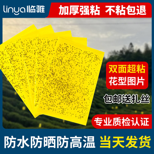 物理灭虫双面强粘茶山果园专用板