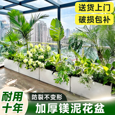 水泥花盆长方形镁泥马槽轻奢高级感家用小盆栽盆子特大花箱种植箱