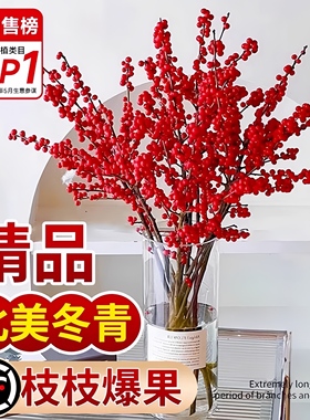 精品北美冬青鲜切花枝鲜花束红果果水培水养植物室内年宵花卉真花
