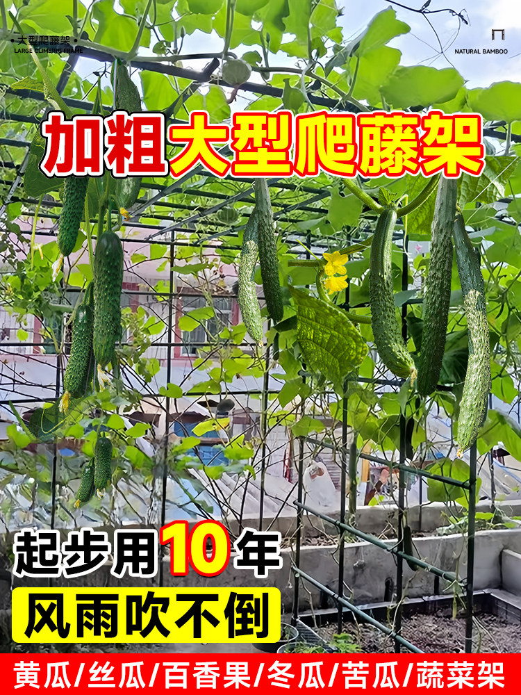 黄瓜攀爬凉棚竹竿葡萄豆攀爬网安装免花架攀爬藤架杆屋顶蔬菜架