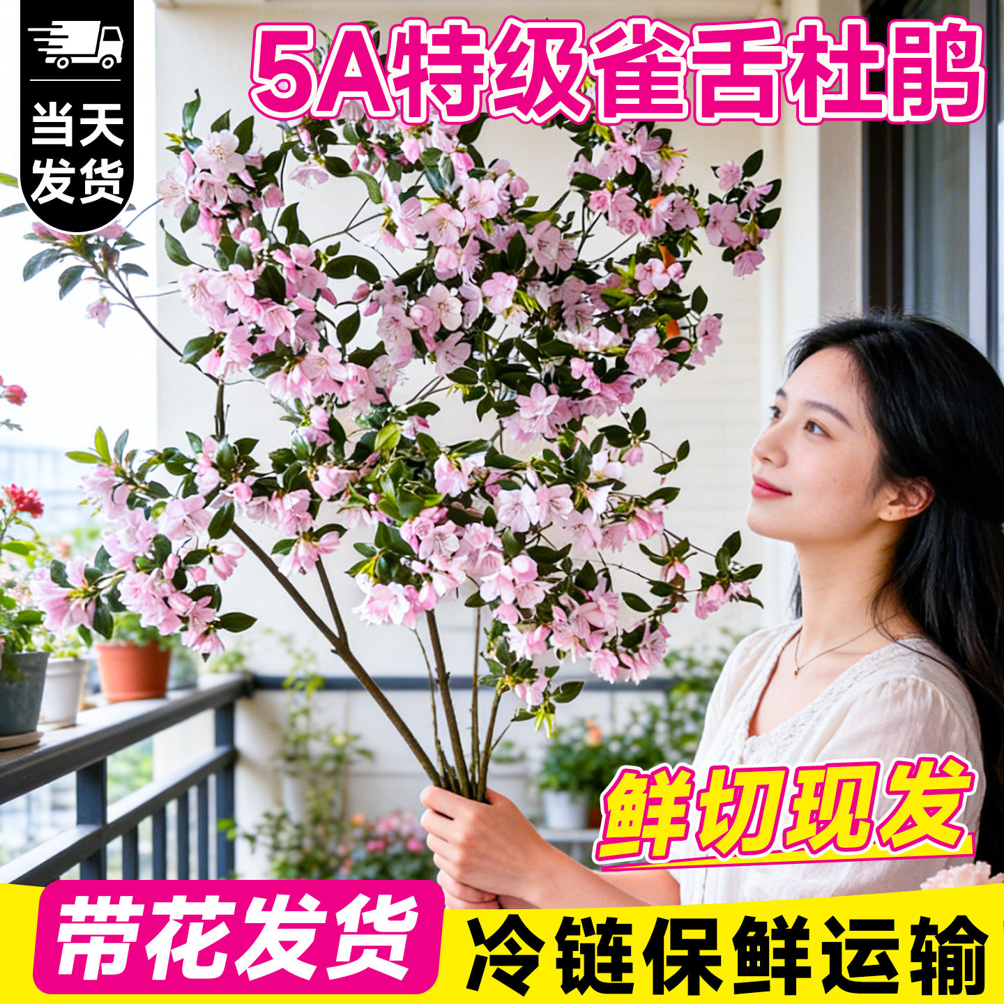 雀舌杜鹃鲜切绿植花卉好养水培植物室内水养高大马醉木吊钟树枝条