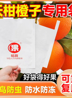 沃柑橙子套袋柑橘专用套袋防鸟虫