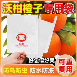 沃柑橙子套袋柑橘专用套袋防虫防鸟防水果袋纸袋耙耙柑不知火丑橘