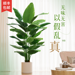 天堂鸟仿真绿植高端轻奢仿生花客厅大型盆栽落地摆件造景树假植物