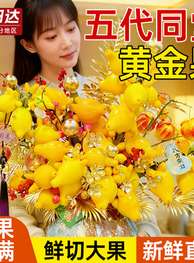 五代同堂黄金果鲜花鲜切枝四季水培室内植物好养家用插花旺宅花卉