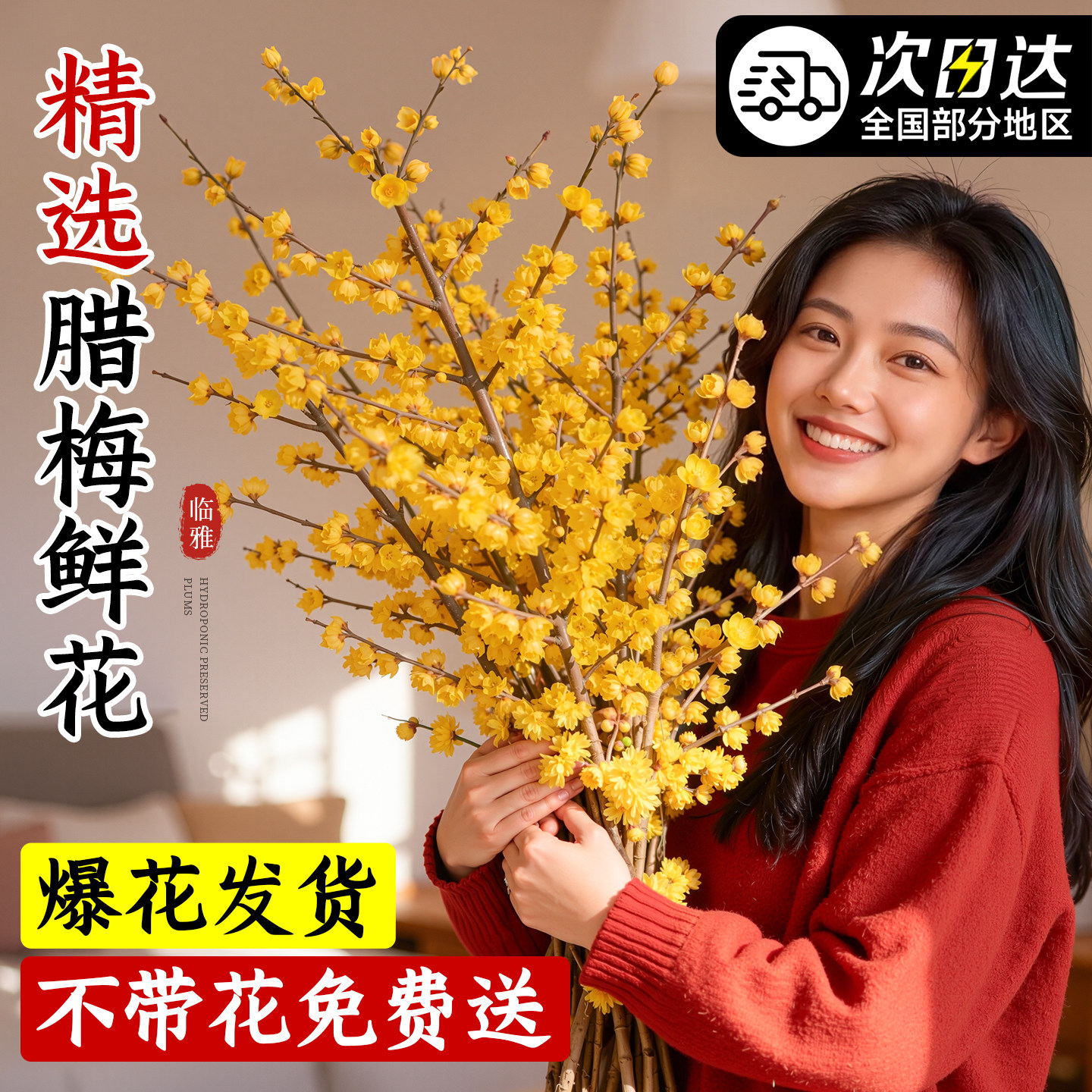 腊梅鲜花家用鲜切带花苞干枝腊梅枝条四季水培花卉插花室内绿植物