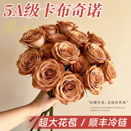 卡布奇诺玫瑰鲜花大花苞冷链直达