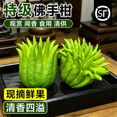 【现摘现发】特级大果佛手柑