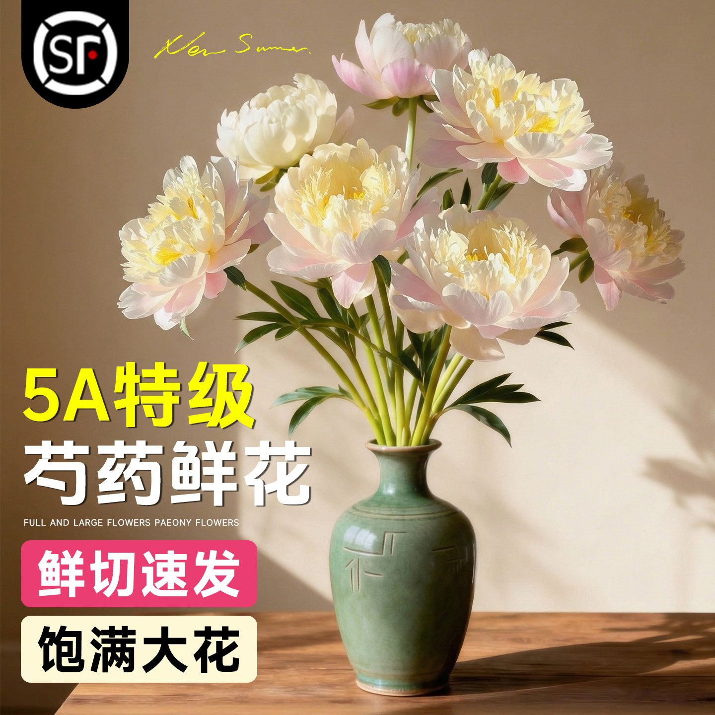 凤羽落金池芍药鲜花云南直发落日珊瑚重瓣花束进口山东鲜切花卉