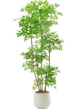 仿真绿植南天竹落地盆栽室内大型植物摆件客厅轻奢装饰花假树造景