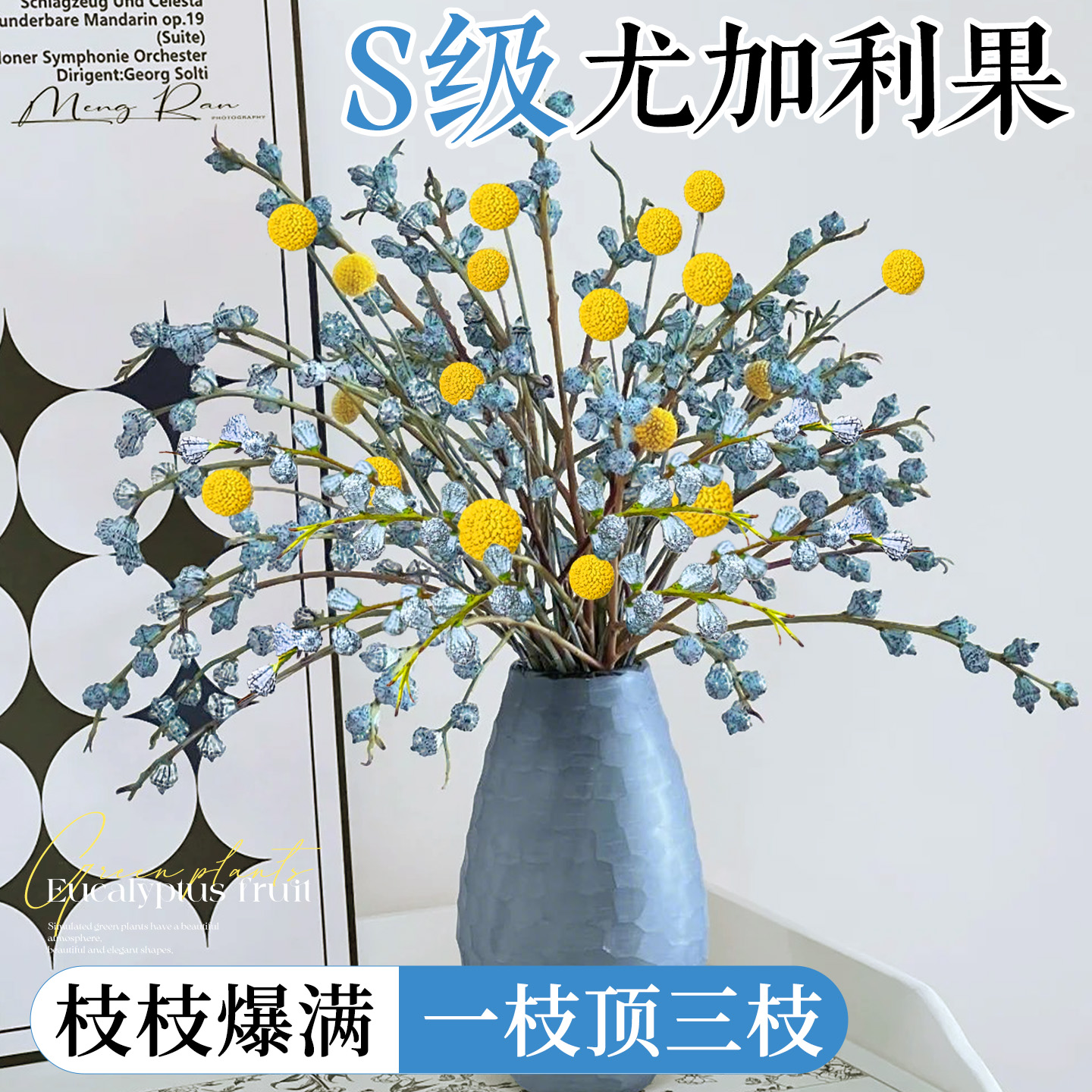 特级尤加利果鲜切现发不活包赔