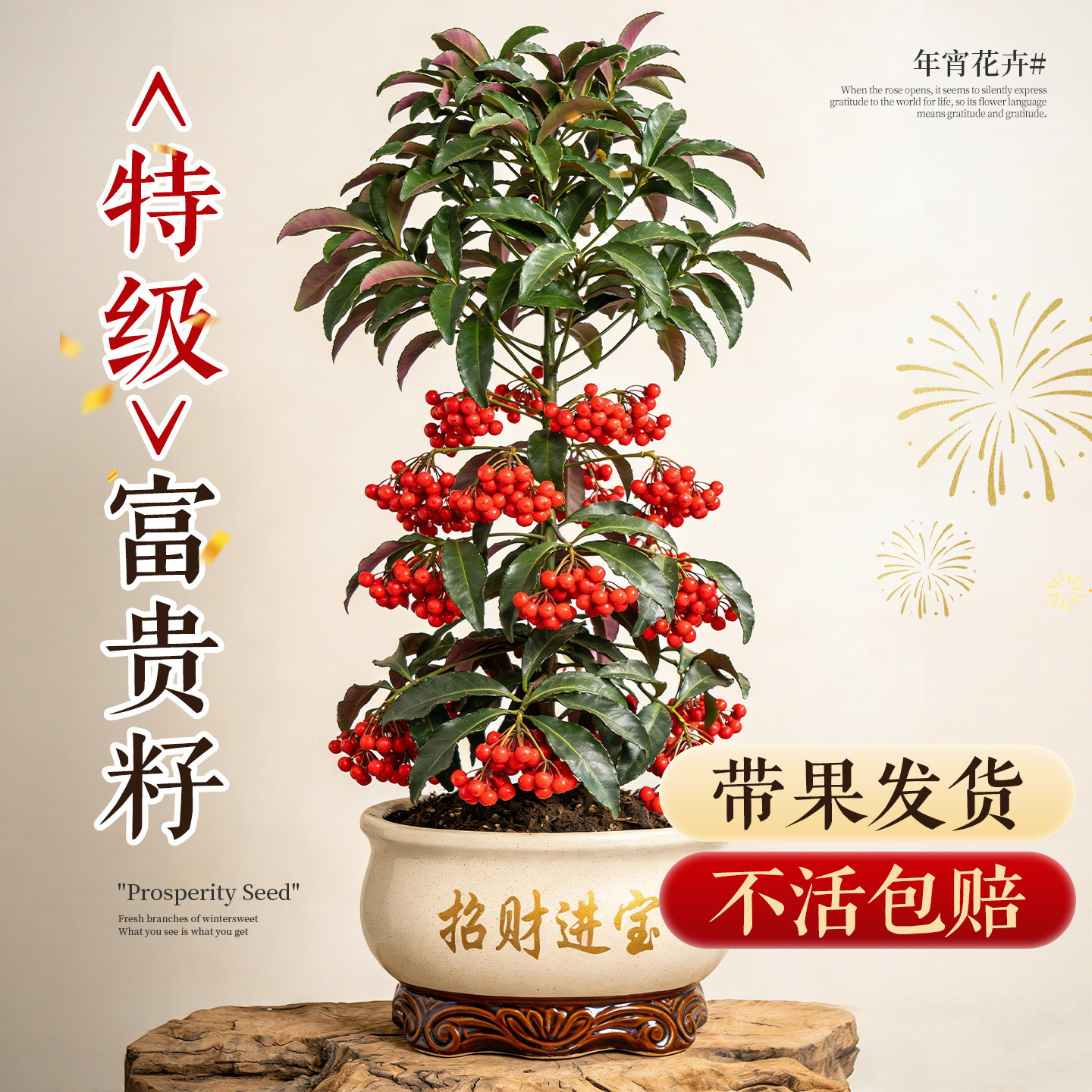 富贵籽盆栽带红果绿植金玉满堂年宵花室内办公室桌面植物四季好养,鲜花速递/花卉仿真/绿植园艺,绿植,淘宝优惠券,粉丝福利购,淘宝优惠卷