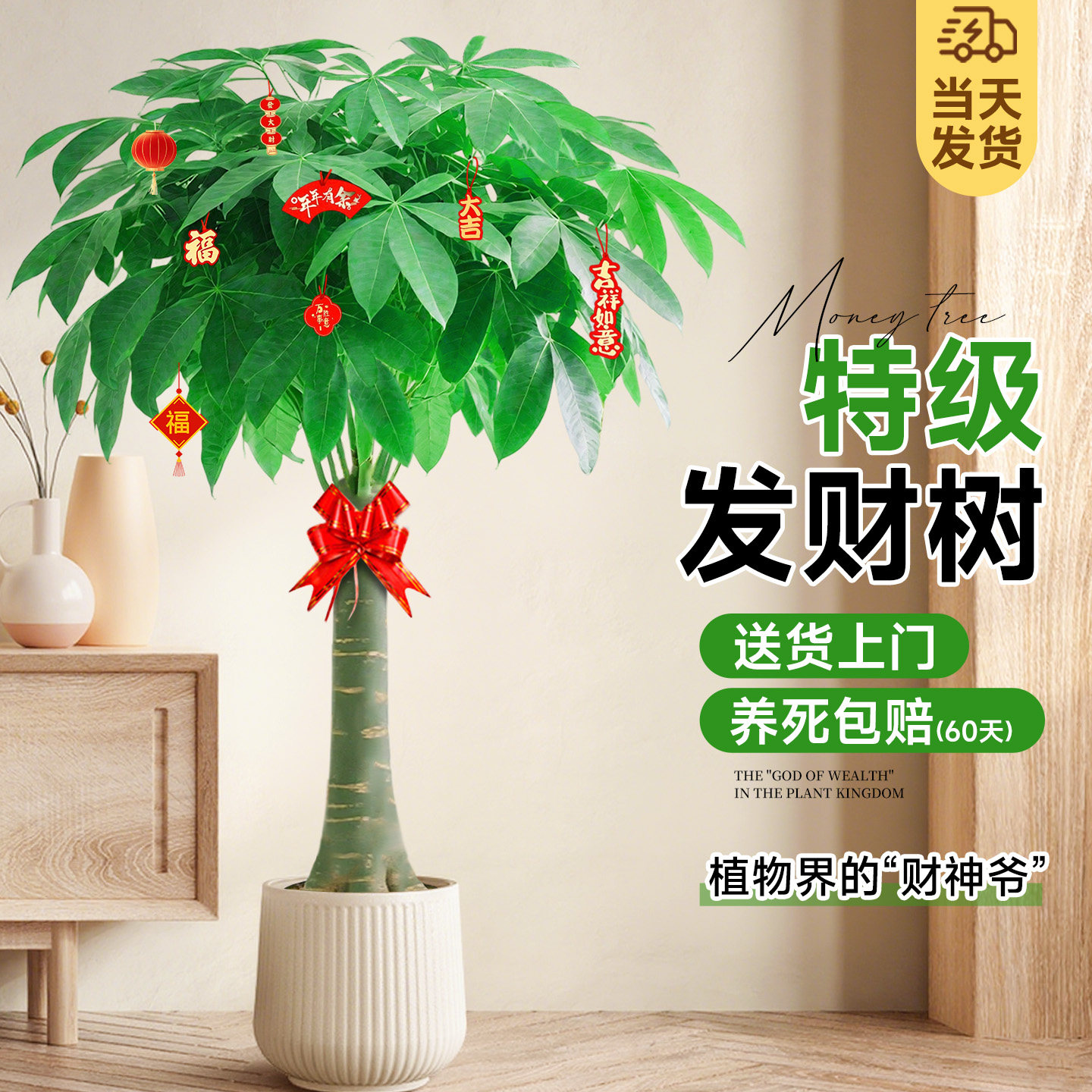 发财树客厅大盆栽绿植室内大型高端大气上档次办公室招财树好养活