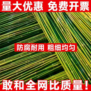 竹竿菜园搭架支架爬藤架小竹子杆2米3米长细竹竿棍支撑架防腐种菜