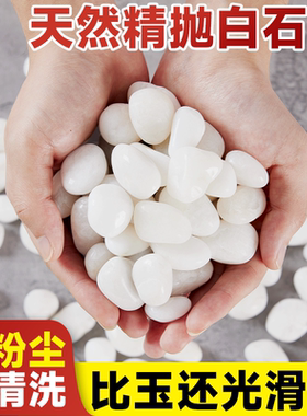 白色天然鹅卵石小石头雨花石白石子颗粒批发水培鱼缸阳台造景铺地
