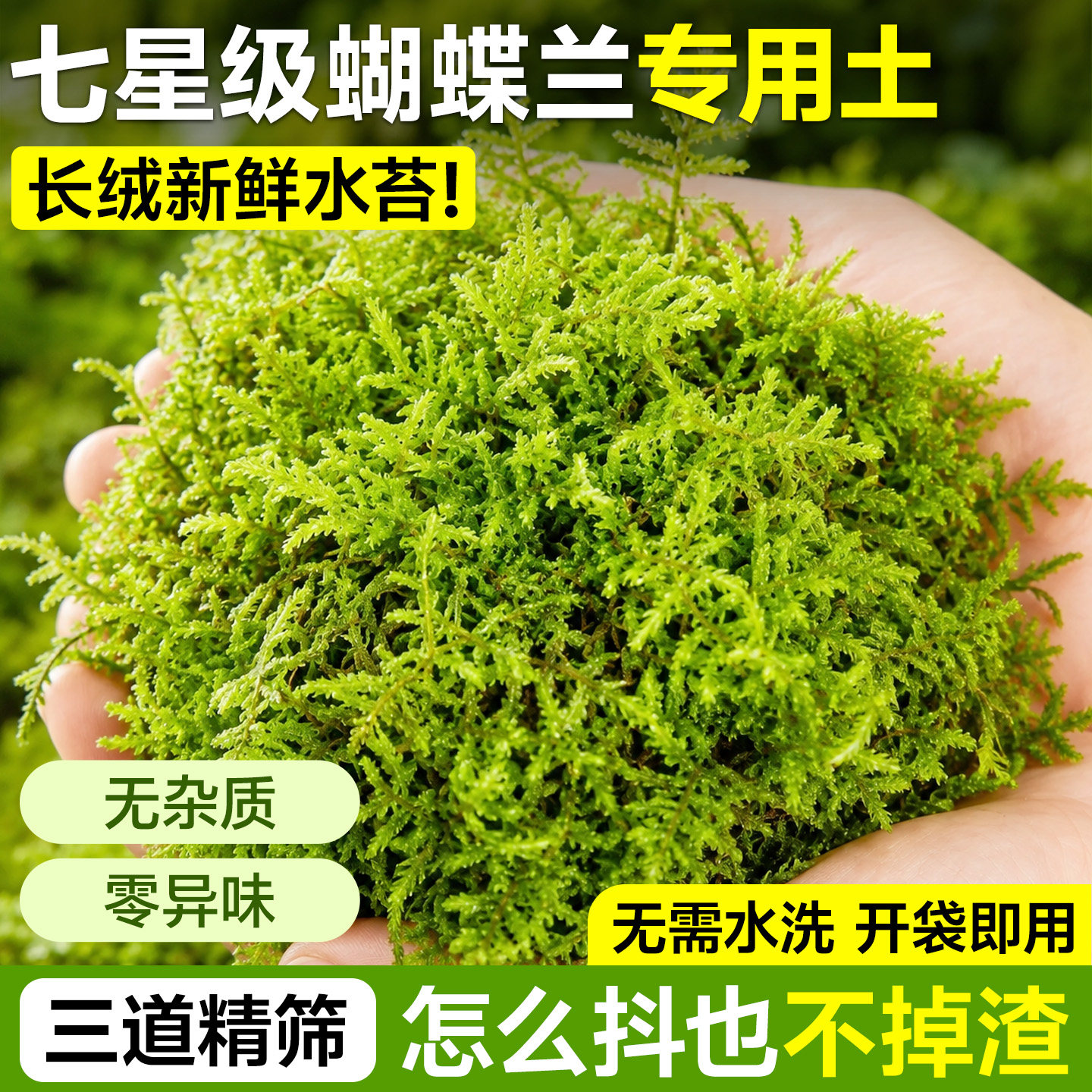 水苔蝴蝶兰专用土干苔藓爬宠垫材石斛兰专用土花盆铺面青苔鲜植料