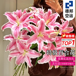 鲜花香水百合云南昆明基地直发玫瑰鲜切花真花批发情人节花束插花