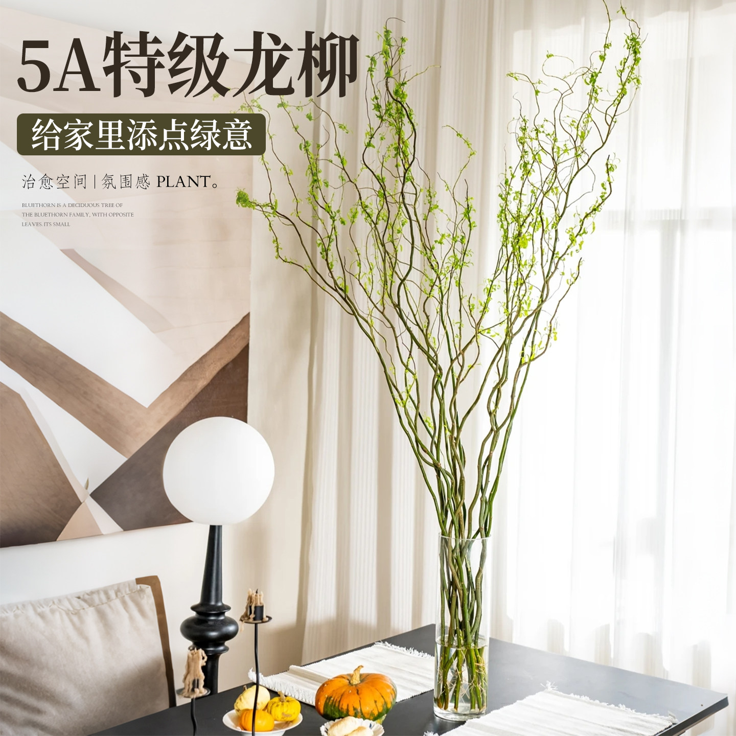龙柳鲜枝水培植物干枝花卉绿植盆栽办公室内桌面客厅四季好养水养