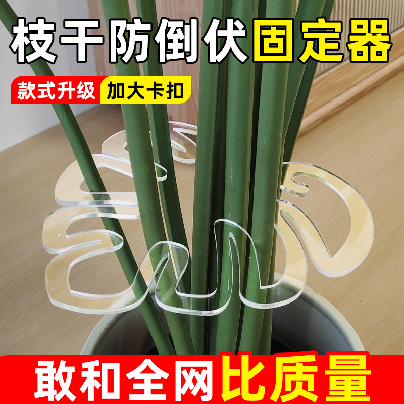 龟背竹收拢架敢和全网比质量