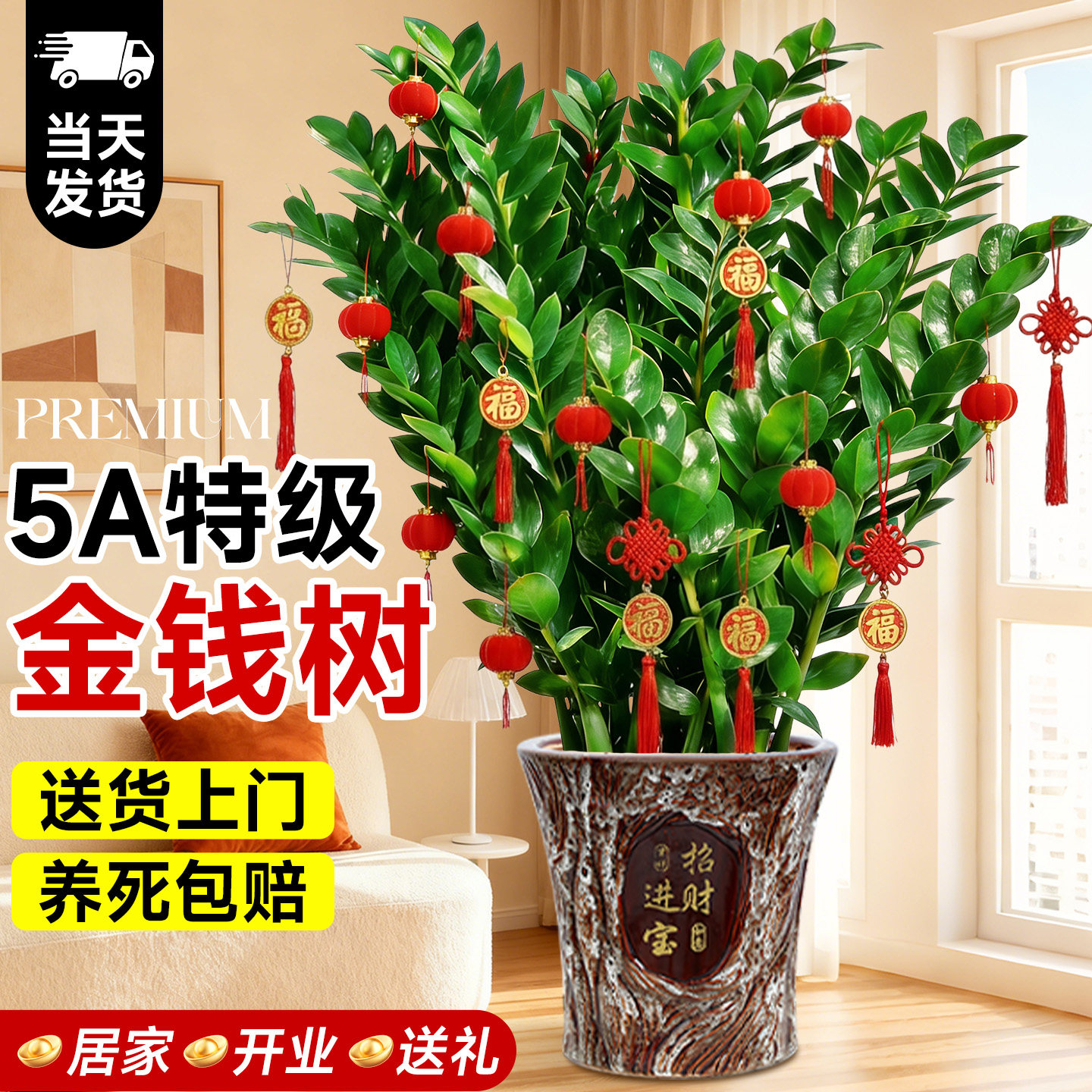 金钱树盆栽客厅大花盆室内大型绿植办公室好养植物发财树开业送礼,鲜花速递/花卉仿真/绿植园艺,绿植,淘宝优惠券,粉丝福利购,淘宝优惠卷