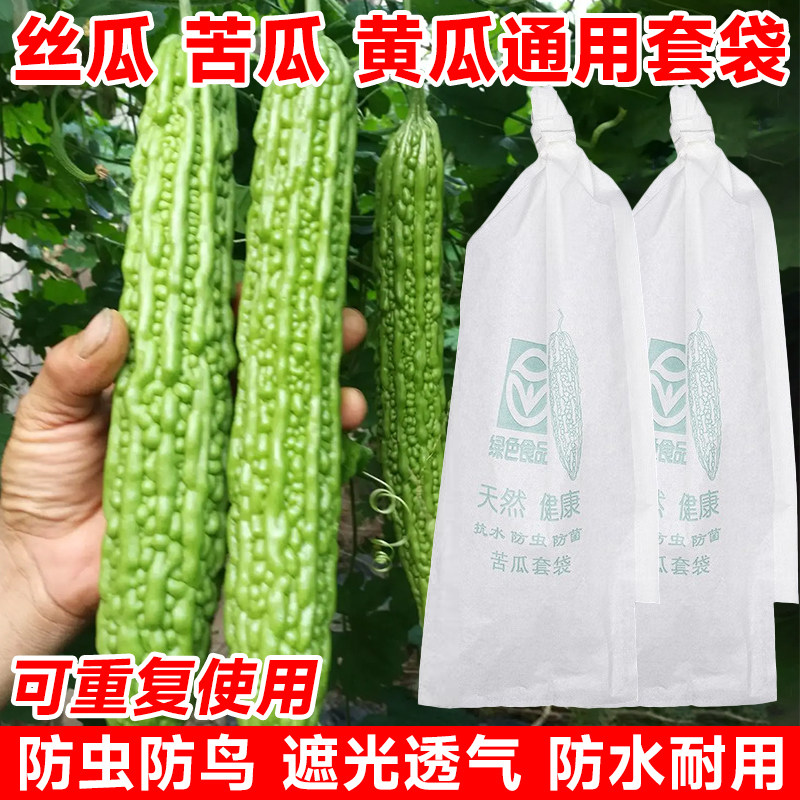 苦瓜丝瓜套袋专用袋防鸟防虫神器青瓜保护套防雨蔬菜水果专用纸袋