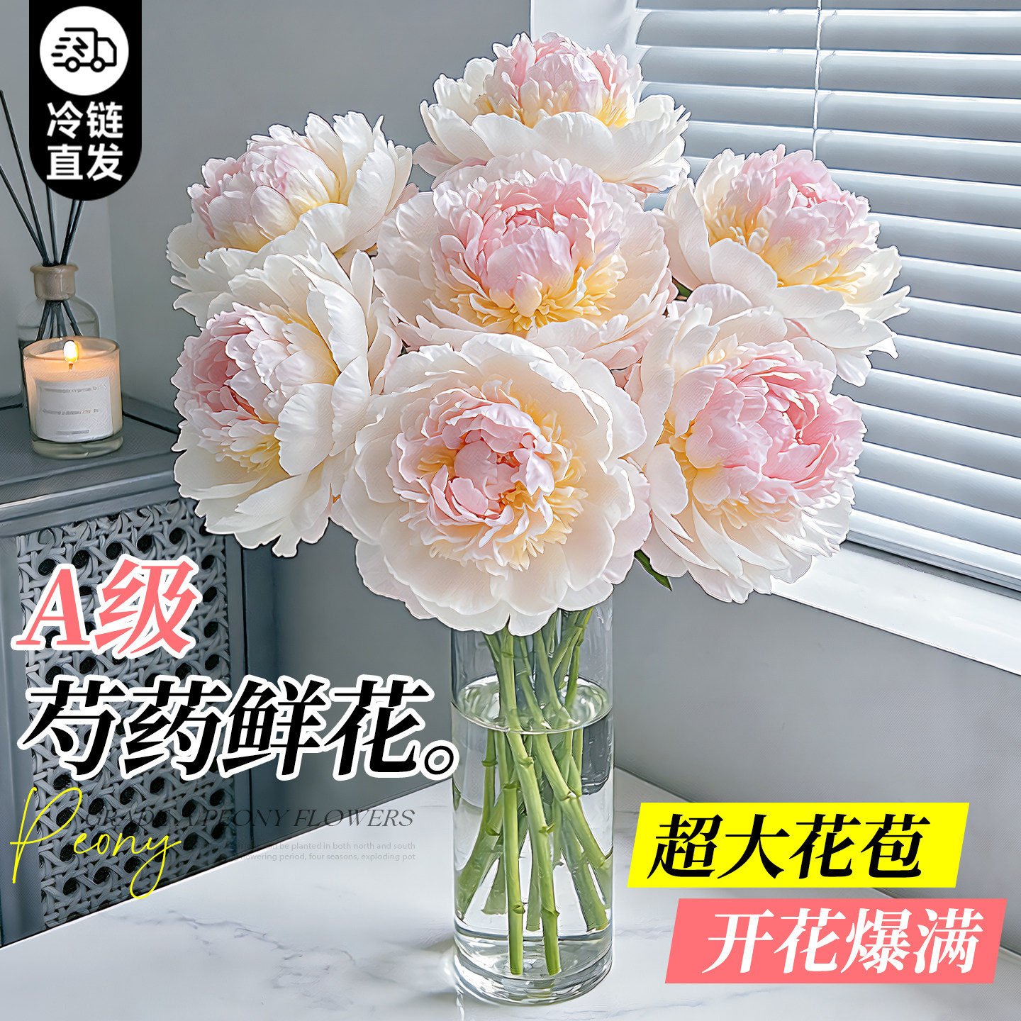 芍药鲜花云南直发重瓣芍药鲜切花束母亲节羞涩女王客厅插花卉植物