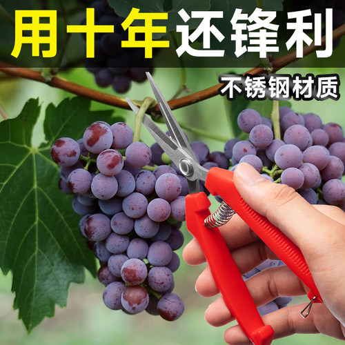 刀口锋利耐用不生锈修剪省力