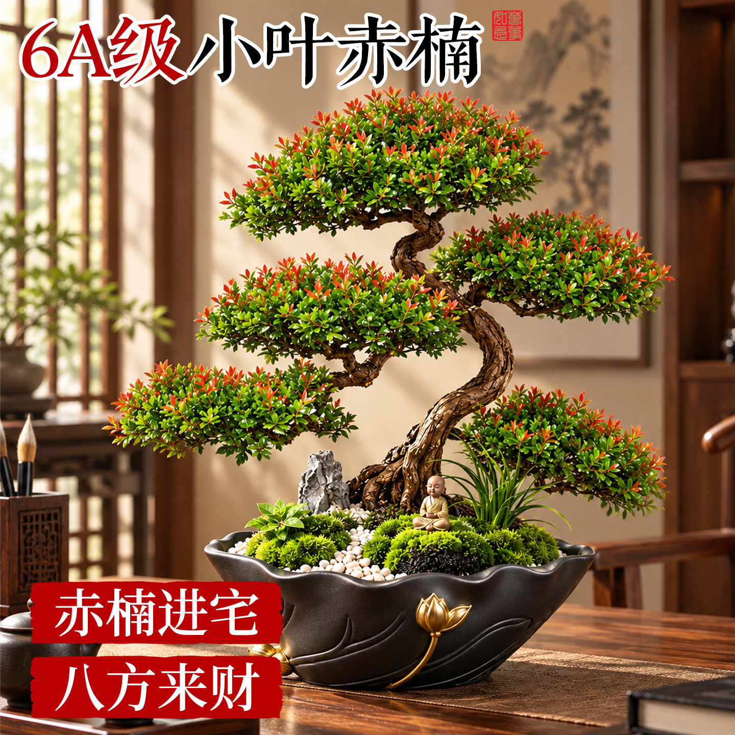 小叶赤楠盆栽老桩盆景送长辈乔迁开业新居祝寿礼物桌面造景绿植物