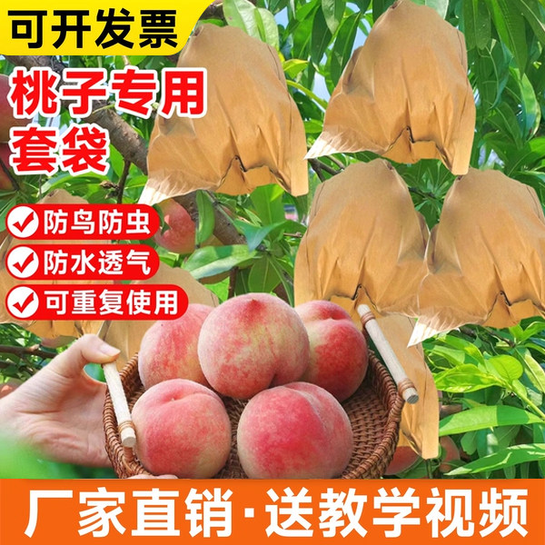 桃子套袋专用袋水果套袋防鸟防虫神器水蜜桃黄桃梨子专用网袋纸袋